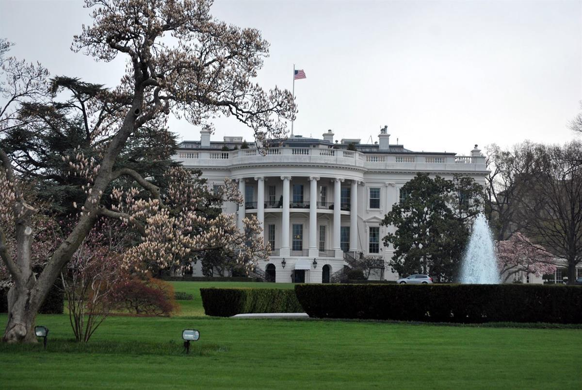 White House Lawn