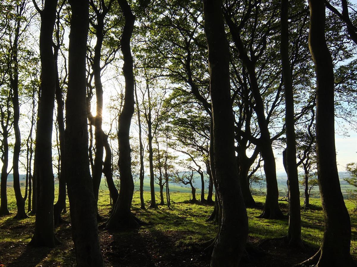 Photo by Kim Greenhalgh
